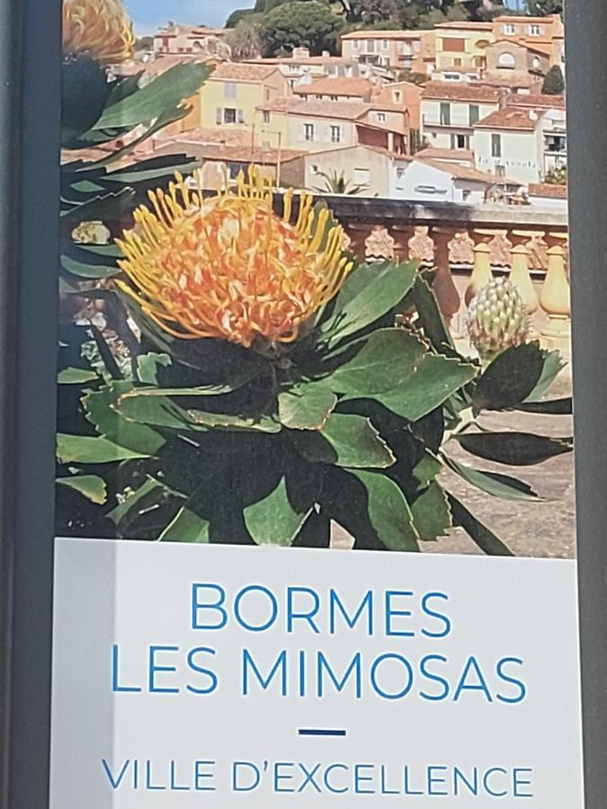 T2-Clim-Fibre-Garage 2,30 X 4,95 X 1,90 A La Faviere Lejlighed Bormes-les-Mimosas Eksteriør billede